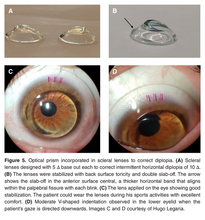 Load image into Gallery viewer, Chapter 7: Front Surface Optics (E-Book)