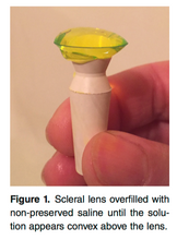 Load image into Gallery viewer, Chapter 8: Care Regimen (E-Book)